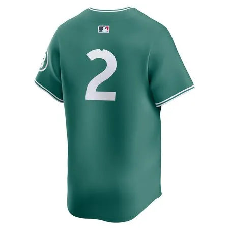 Men's Boston Red Sox #2 Alex Bregman
Green 2025 City Connect Limited Player Jersey